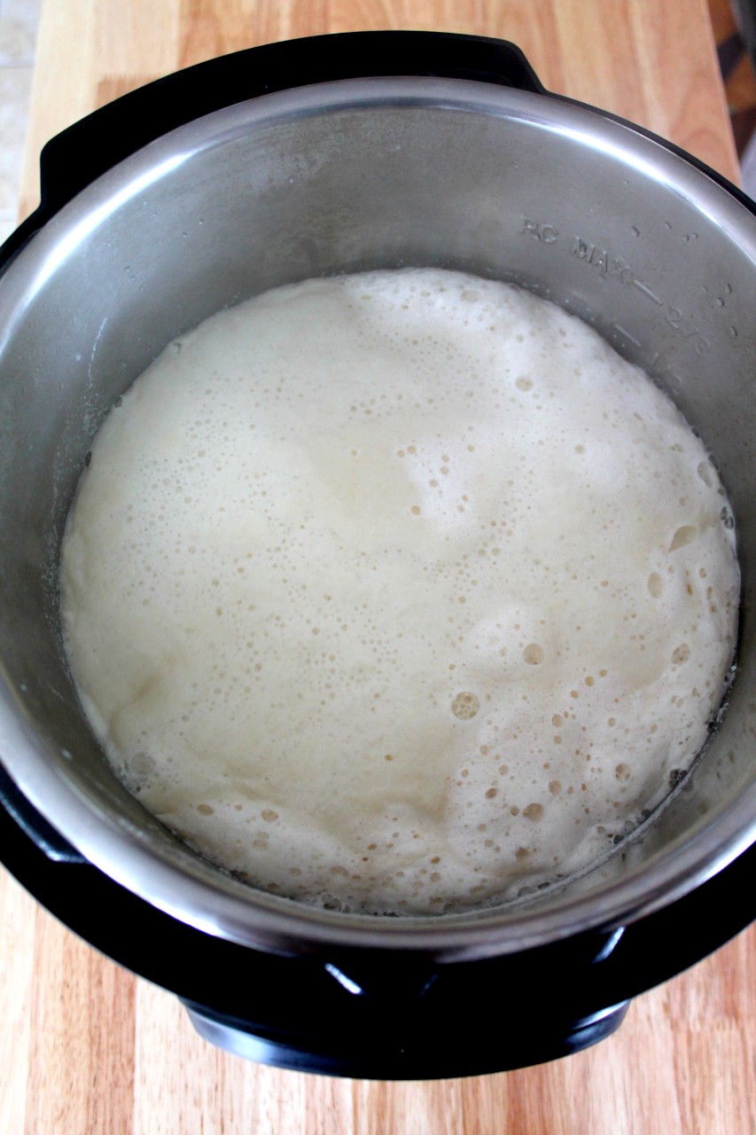 Boil milk online in instant pot
