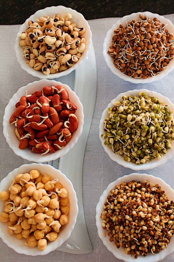 how to make sprouted beans
