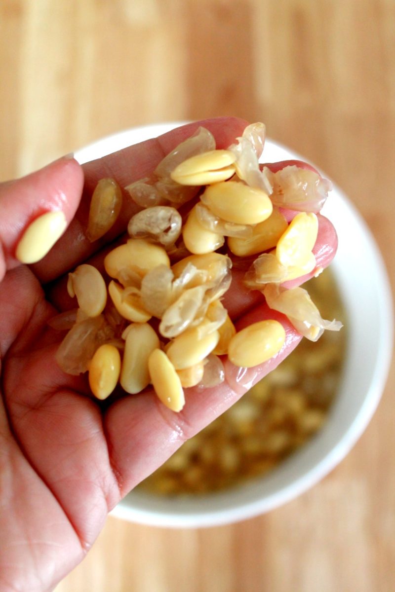 Homemade Soy milk Living Smart And Healthy