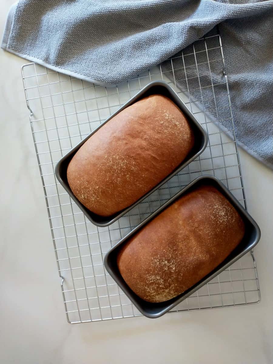 recipe of wheat bread