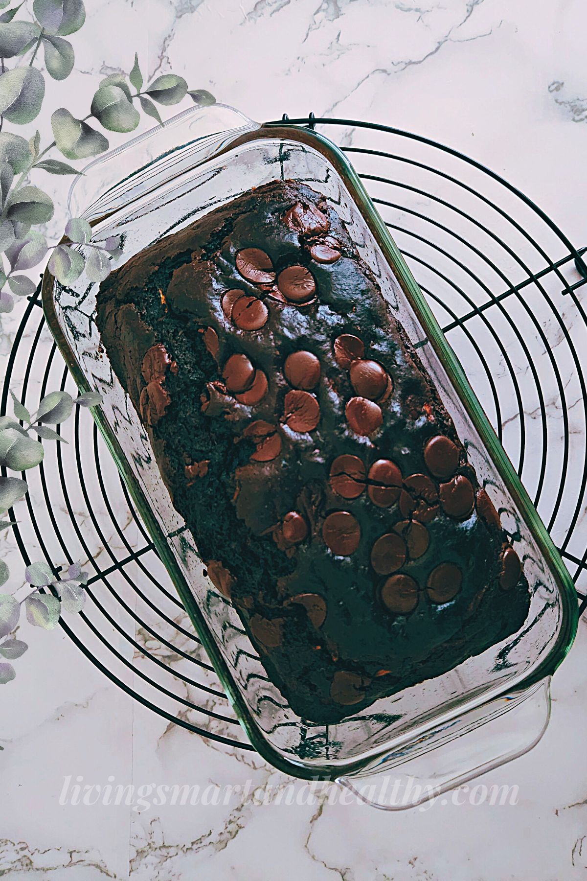 healthy chocolate zucchini bread