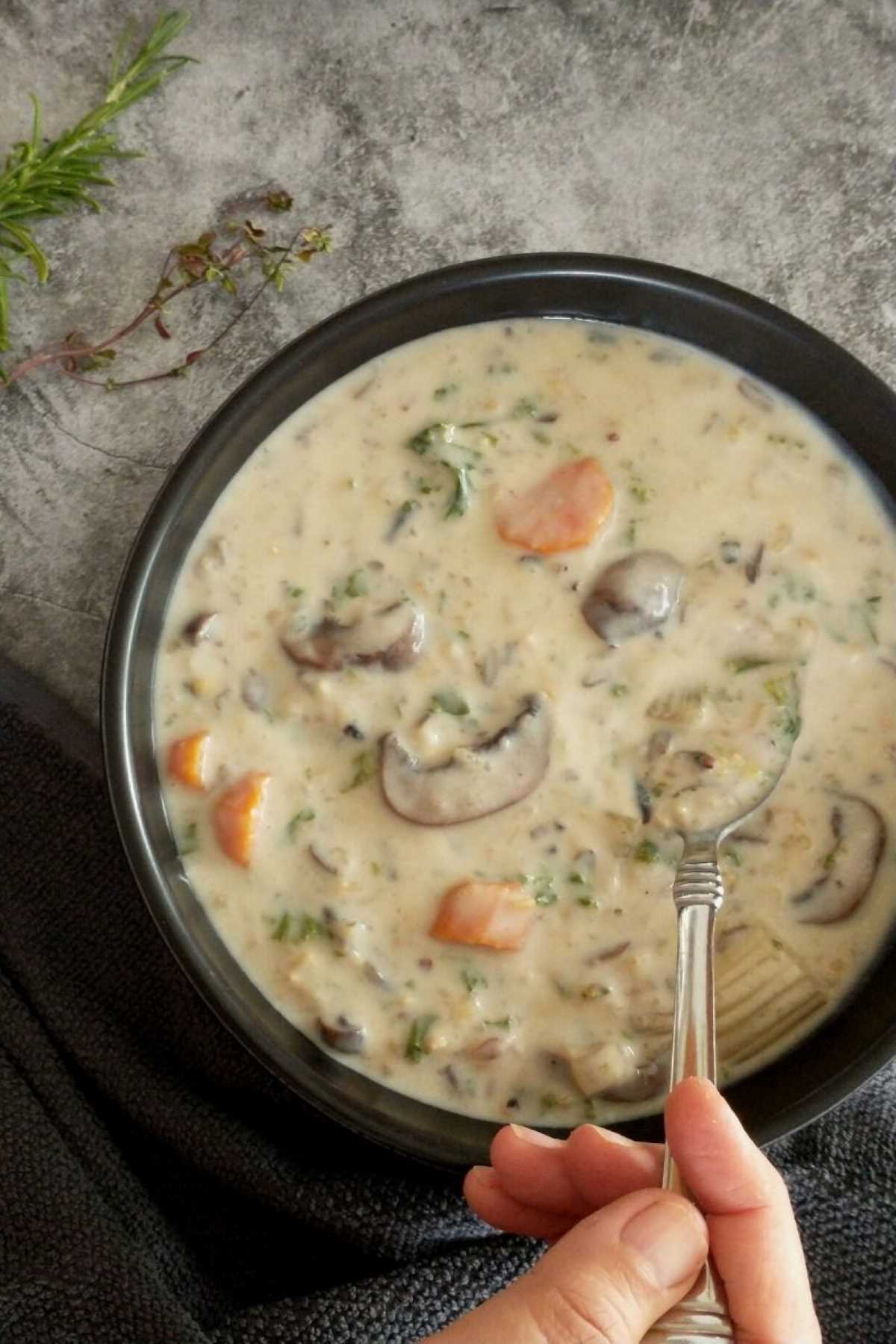 wild mushroom and rice soup