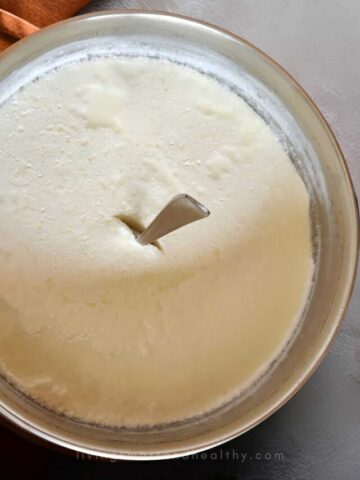 cropped-how-to-make-yogurt4.jpg