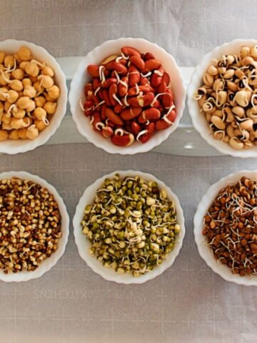 cropped-how-to-sprout-beans.jpg