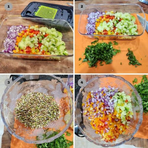 Sprouts Salad Recipe - Living Smart And Healthy