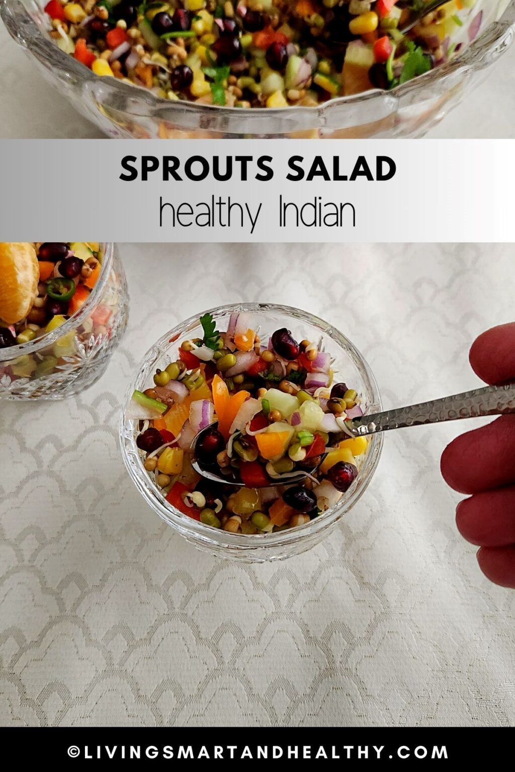 Sprouts Salad Recipe - Living Smart And Healthy