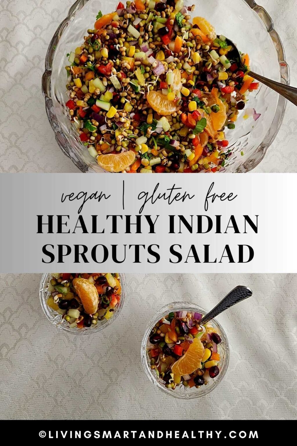Sprouts Salad Recipe - Living Smart And Healthy
