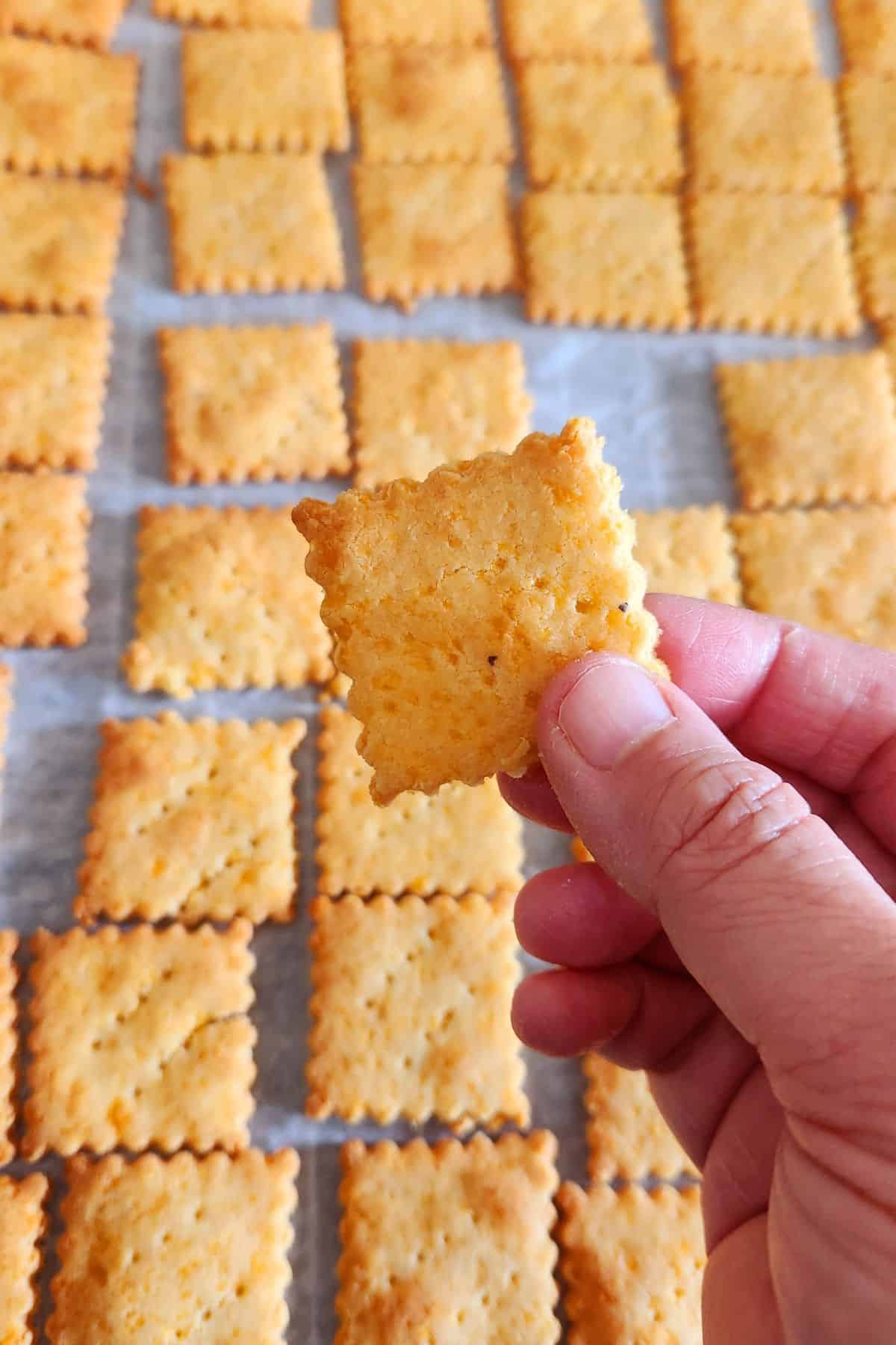 cheese almond flour crackers closeup