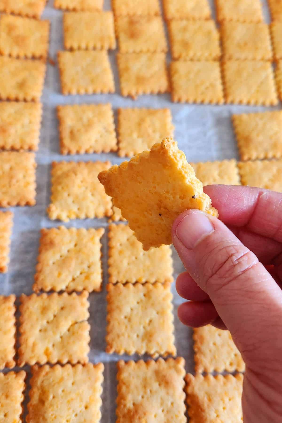 enjoy almond flour cheese crackers with a cup of coffee