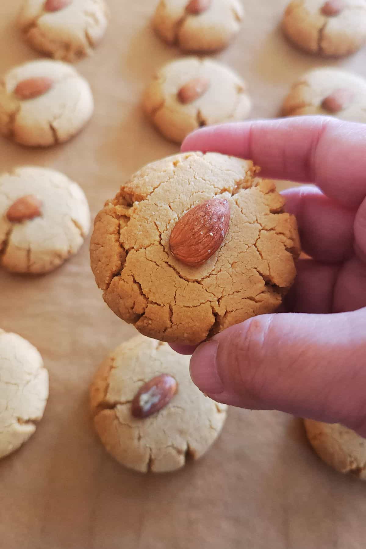 closeup of almond flour peanut butter cookie	