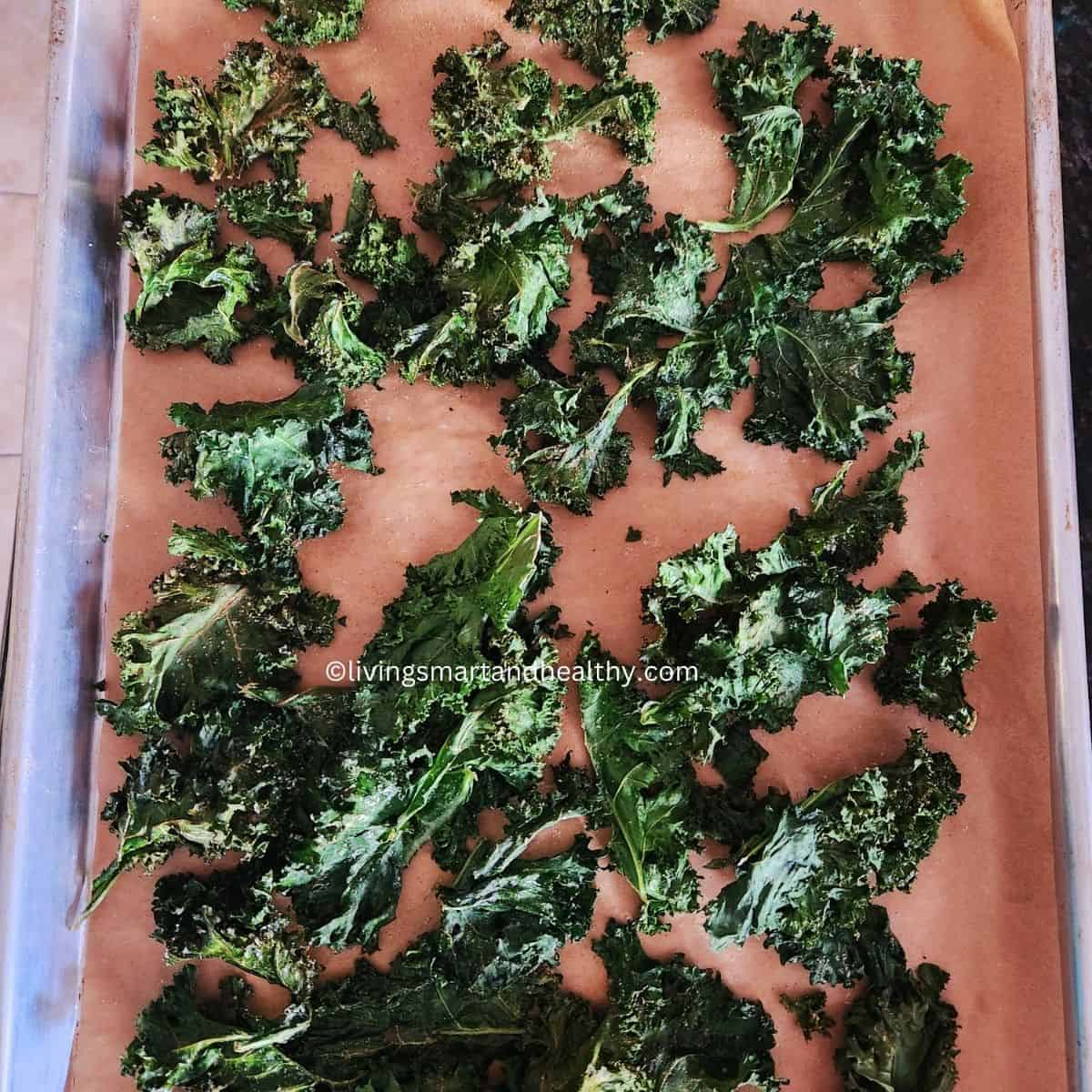 kale chips in oven are ready to serve
