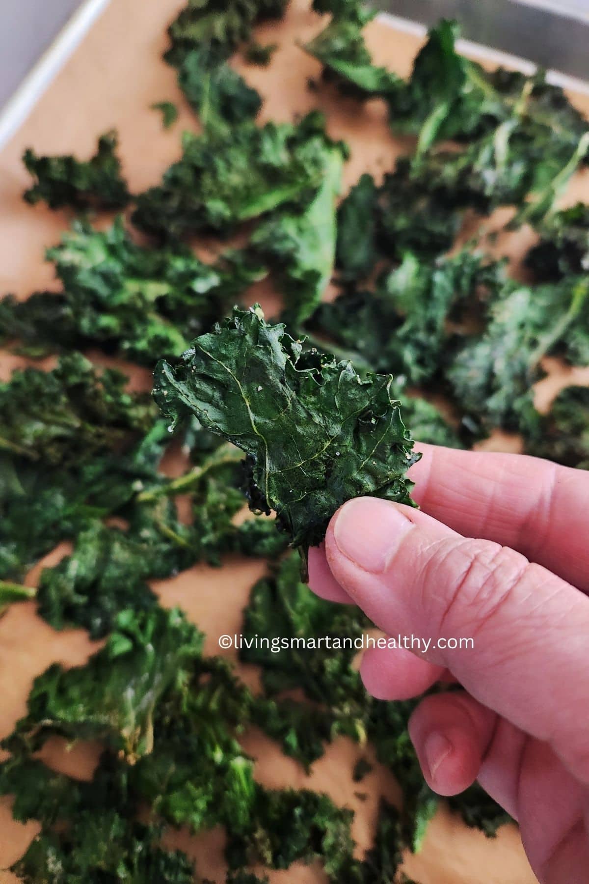 close-up of crispy, kale chips right from the oven