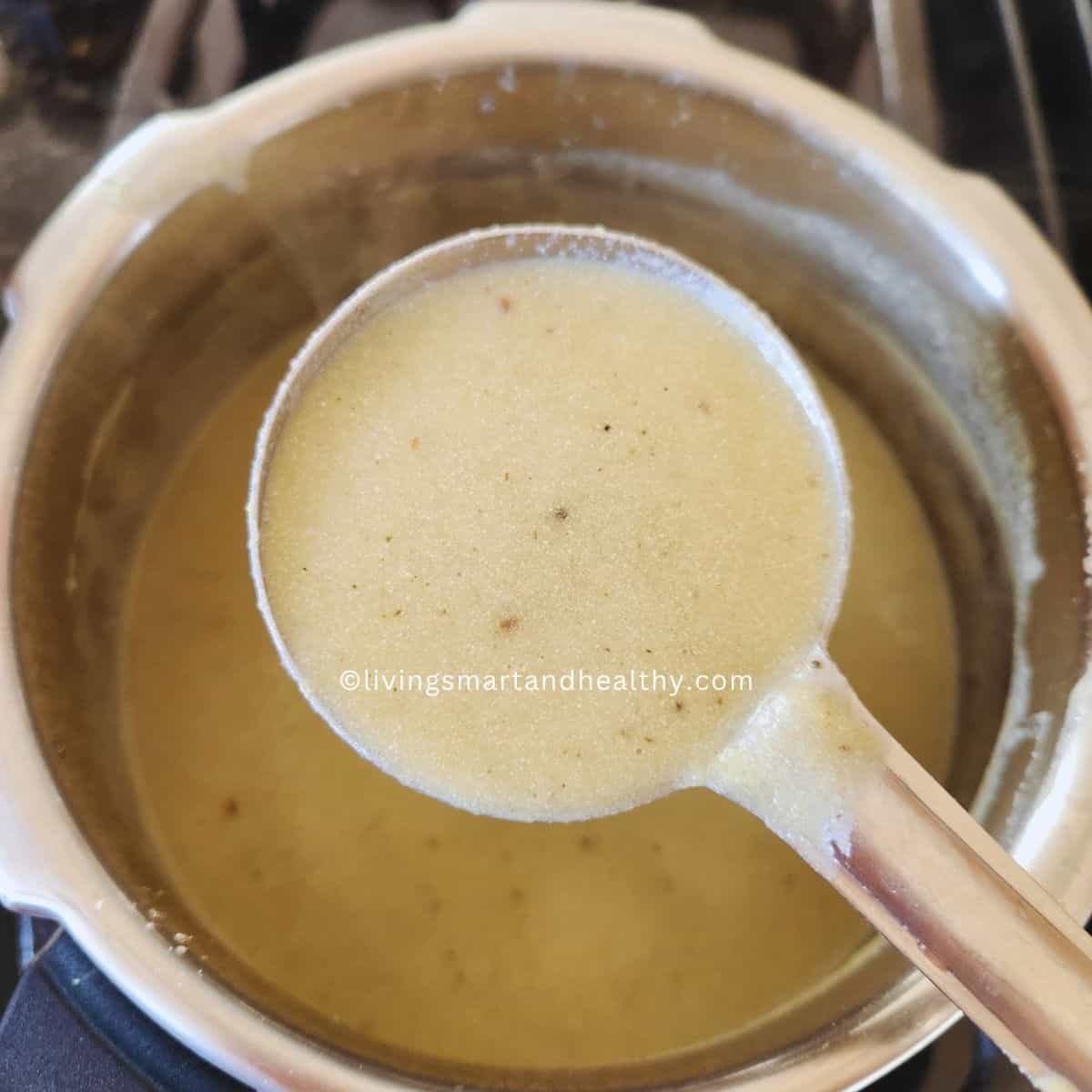 pressure cooker paneer lauki soup close-up